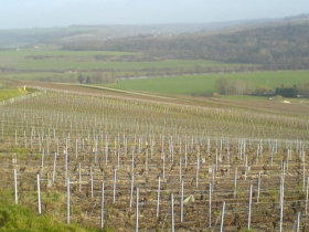 Champagne Marc BIJOTAT - Cote de Romeny sur Marne