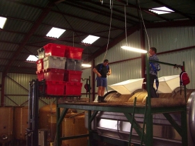 Champagne Marc BIJOTAT - Vendanges 2009